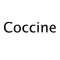 Coccine